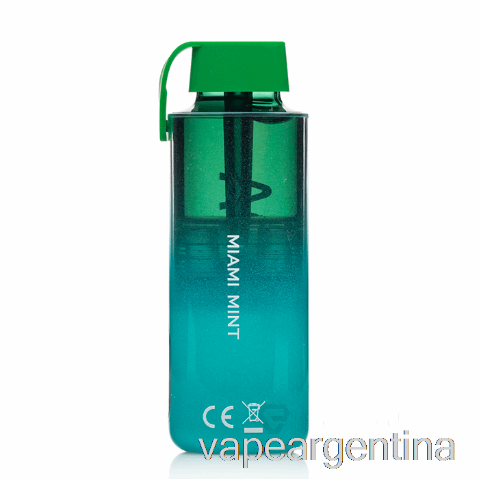 Vozol Neon 10000 Vape Desechable Miami Mint Descartable